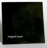 Back of Magnet - The Magnificent Magnet